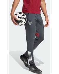adidas - Arsenal Tiro 25 Competition Trainingshose - Lyst