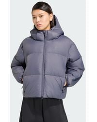 adidas - Z.N.E. Puffer Down Jacket - Lyst