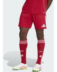 adidas - Liverpool Fc 25/26 Home Shorts - Lyst