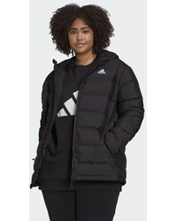 adidas Padded and down jackets for Women - Up to 60% off at Lyst.com