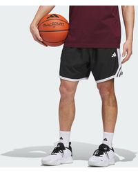 adidas - Crazy Lite Short - Lyst