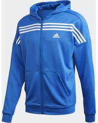 adidas pakken