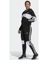 adidas Sportswear Bold Block Trainingspak - Zwart