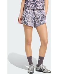 adidas - Seasonal Essentials Leopard Print Woven Shorts With 3-Stripes - Lyst