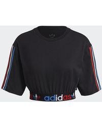 adidas Camiseta Adicolor Primeblue Tricolor Cropped - Multicolor