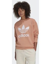 bellista trefoil lace sweatshirt