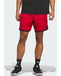 adidas - Crazy Lite Short - Lyst