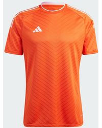 adidas - Campeon 23 Trikot - Lyst