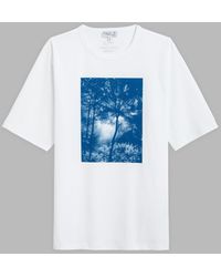 agnès b. White And Blue Tim Barber Artist Coulos T-shirt