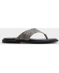 ALDO - Smolder – – - Lyst