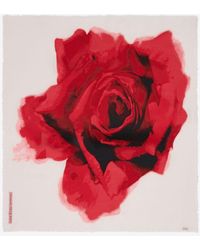 Alexander McQueen - Schal mit bleeding rose-motiv - Lyst