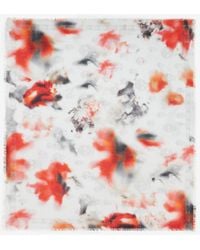 Alexander McQueen - Obscured Flower フレイドエッジ スカーフ - Lyst
