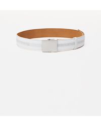 white elastic belt
