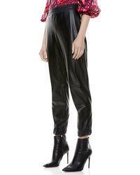 alice and olivia pete joggers
