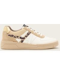 AllSaints - Vix Low Top Round Toe Suede Trainers - Lyst