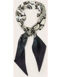 AllSaints - Flow Snake Print Logo Headscarf,, Ecru - Lyst