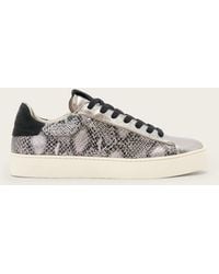 AllSaints - Shana Snake Print Low Top Leather Trainers - Lyst