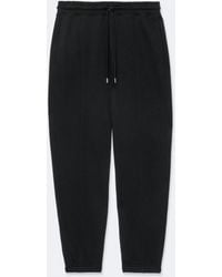 AllSaints - Annabel Slim-Fit Cuffed Sweatpants - Lyst