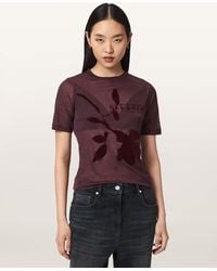 AllSaints - Athea Graphic Sheer T-Shirt - Lyst