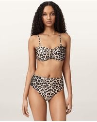 AllSaints - Talaria High Rise Animal Print Bikini Bottoms - Lyst