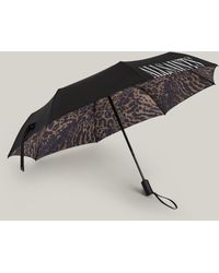AllSaints Women's State Tiga Umbrella - Black