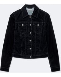 AllSaints - Fitted Flocked Denim Trucker Jacket - Lyst