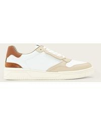AllSaints - Regan Low Top Trainers - Lyst