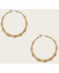 AllSaints - Clara Medium Hoop Earrings - Lyst