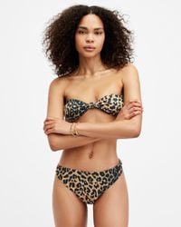 AllSaints - Emma Leopard Print Bandeau Bikini Top - Lyst