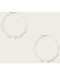 AllSaints - Clara Medium Hoop Earrings - Lyst