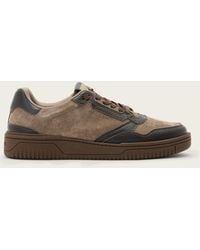 AllSaints - Regan Suede Leather-Panelled Sneakers - Lyst