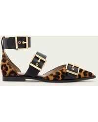 AllSaints - Sutton Leopard Print Pointed Toe Shoes - Lyst