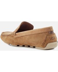 ugg driver shoes