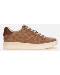 coach signature sneakers