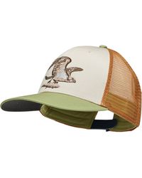 Patagonia - Take A Stand Trucker Hat - Lyst
