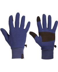 Icebreaker Sierra Gloves - Blue