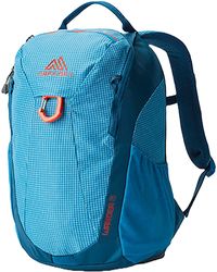 Gregory - Wander Daypack 8l - Lyst