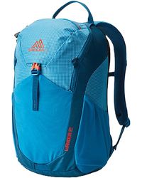 Gregory - Wander Daypack 12l - Lyst