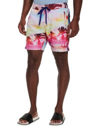 robert graham swimsuits