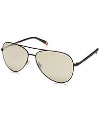 fossil celia sunglasses