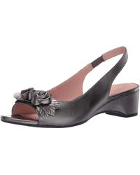 taryn rose stephanie sandal