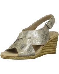 clarks lafley alaine