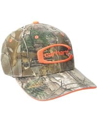 carhartt bear lake cap