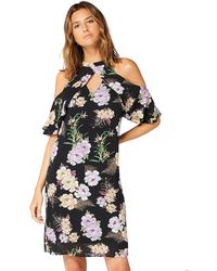 truth and fable polka dot dress