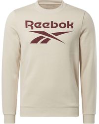 Reebok - Identity Big Logo Fleece Crew Sweatshirt - Lyst