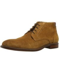 steve madden desert boots