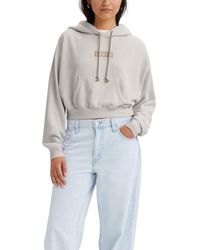 Levi's - Graphic Laundry Hoodie, - Lyst