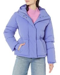 Amazon Essentials - Short Waisted Hooded Puffer Jacket - Lyst
