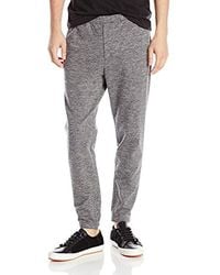 theory sweatpants