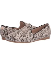 darcy flat